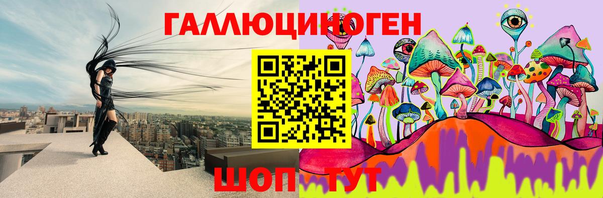купить  сайты  Галлюциногенные грибы прущие грибы  Отрадный  Вход с VPN  Галлюциногенные грибы мухоморы 