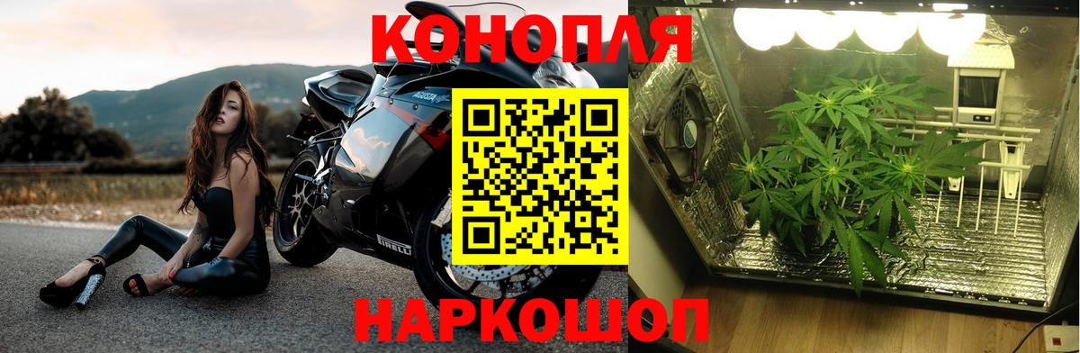 Марихуана VHQ  Бошки марихуана сатива  Бошки марихуана гибрид  Конопля OG Kush  Отрадный  Вход с VPN 